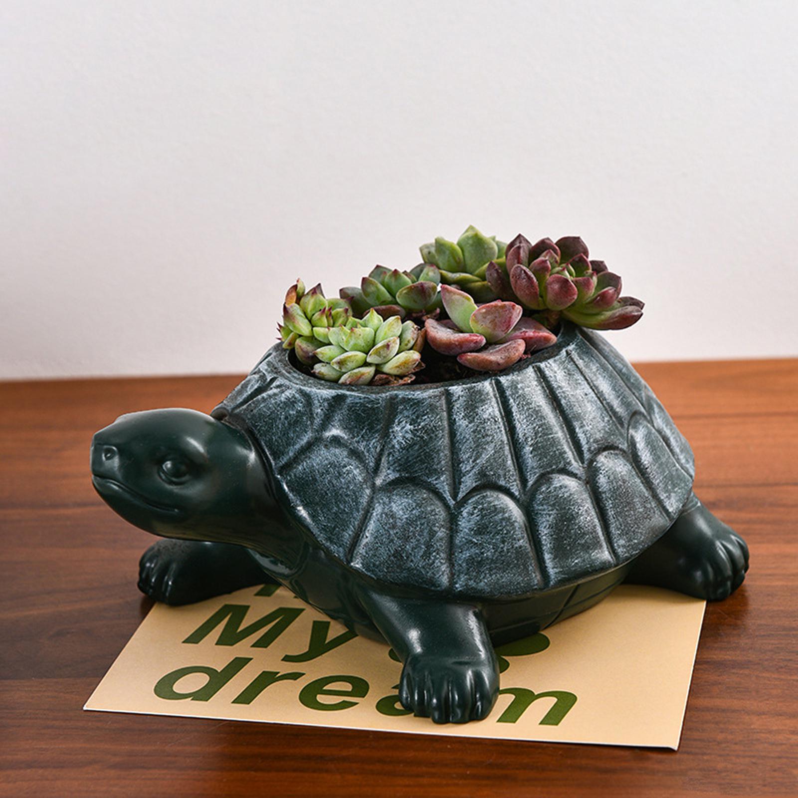 Bonsai Garden Cafe - Maceta Decorativa con Forma de Tortuga,