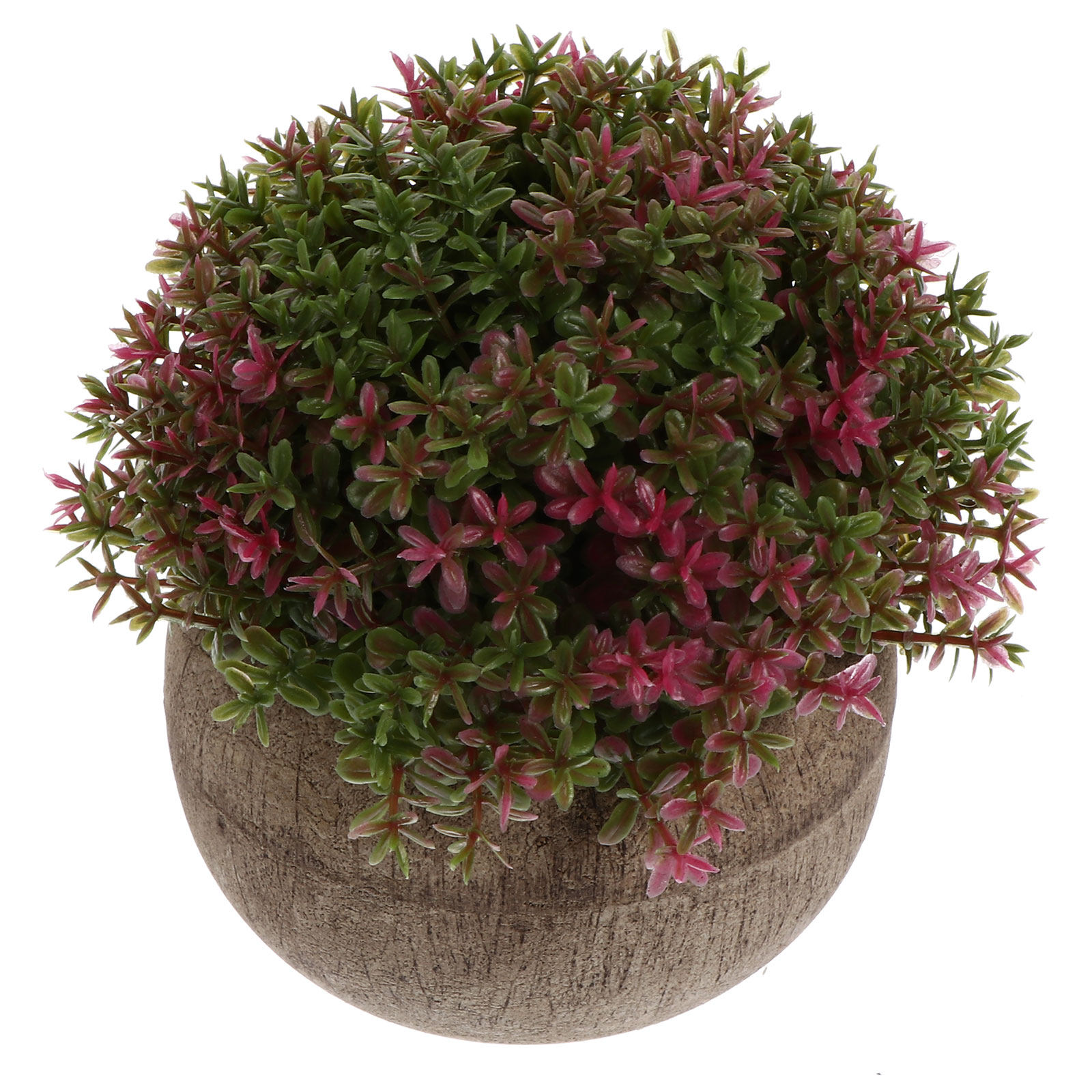 Bonsai Garden Cafe - Mini Bonsái de Plástico, Planta Artificial