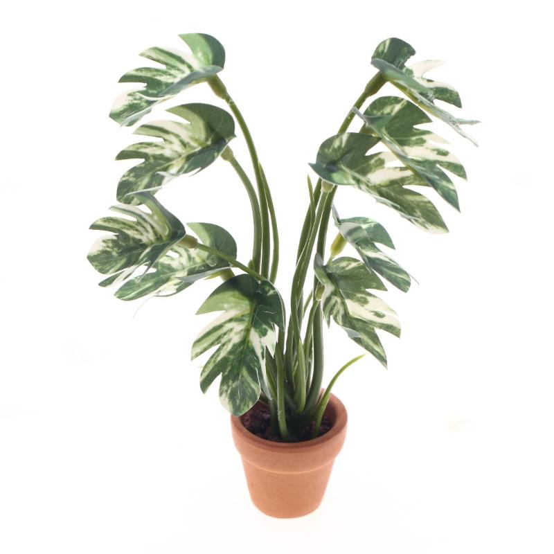 Bonsai Gardening - Nuevo. 1 unidad. Planta verde de