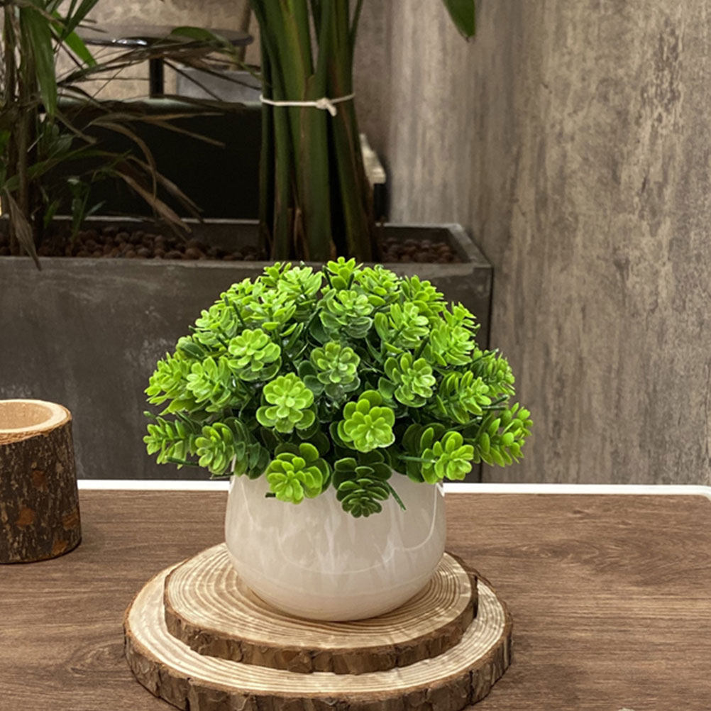 Bonsái Artificial Realista en  - Bonsai Garden Cafe reseña y precio