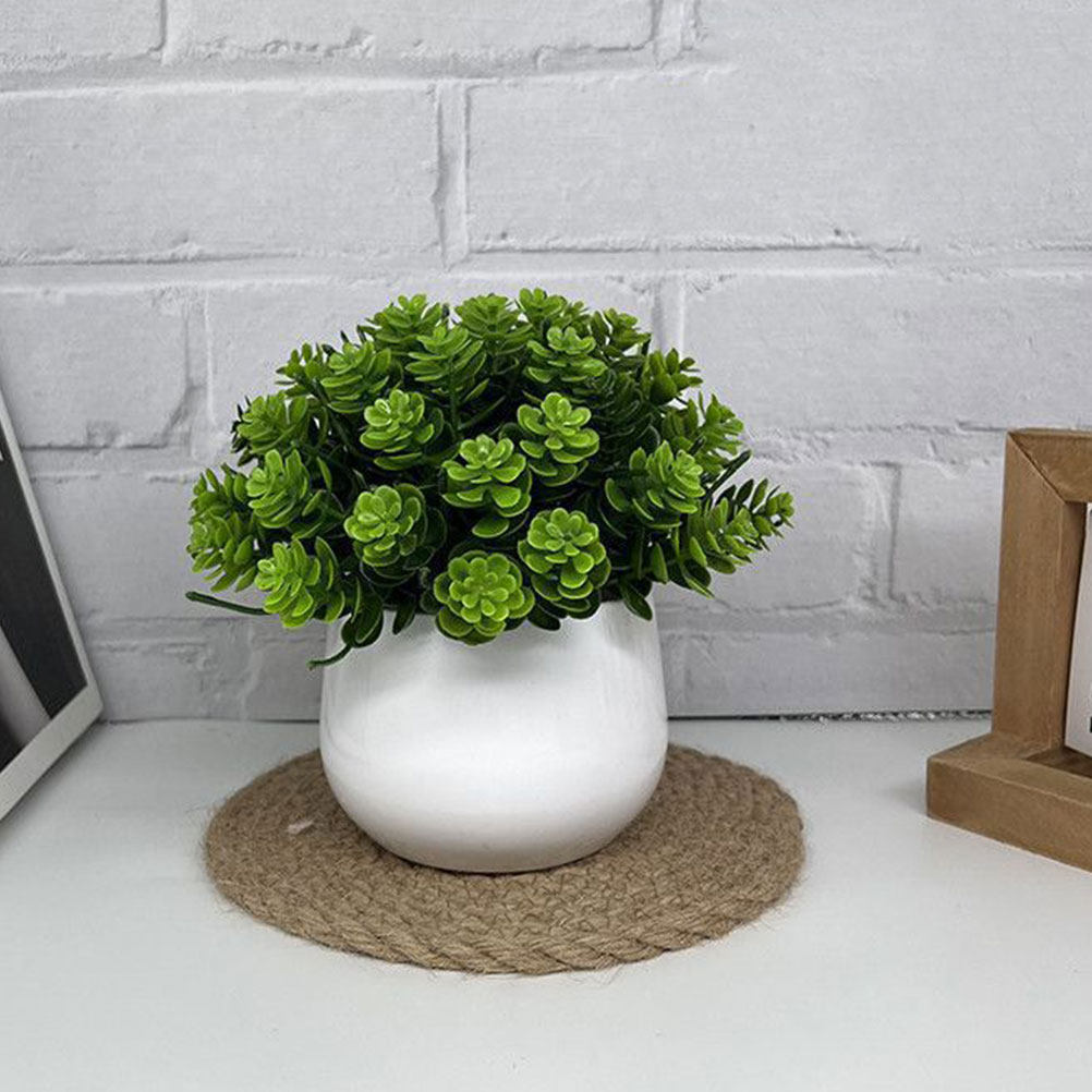 Bonsái Artificial Realista en  - Bonsai Garden Cafe reseña y precio