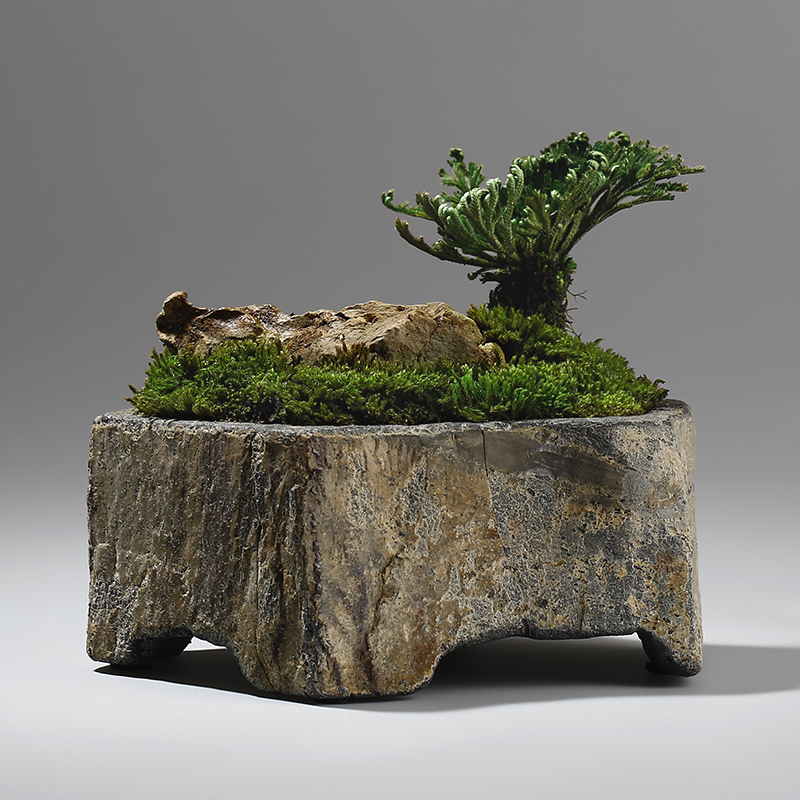 Maceta de Piedra Natural de Ba - Bonsai Garden Indoor reseña y precio
