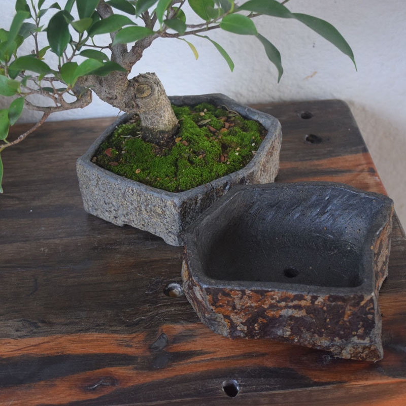 Maceta de Piedra Natural de Ba - Bonsai Garden Indoor reseña y precio