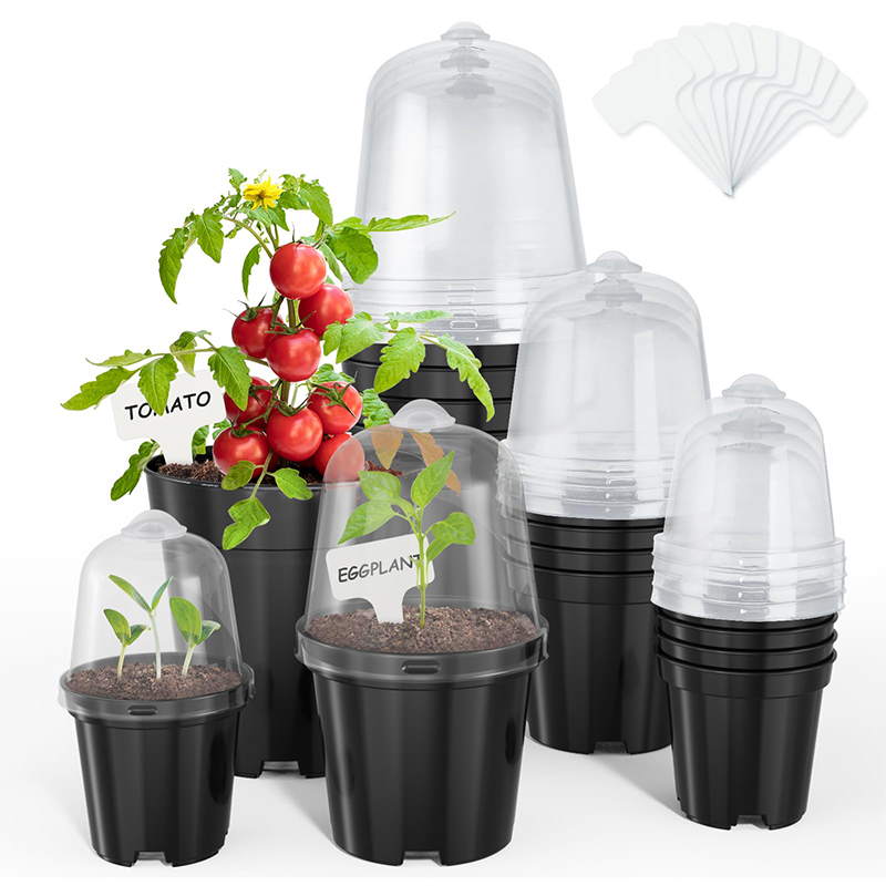 Macetas para Viveros, Macetas  - Bonsai Garden Indoor reseña y precio