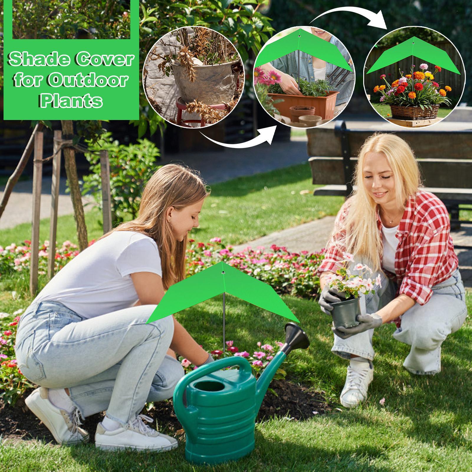 Sombrilla para plantas, cubier - Bonsai Garden Cafe reseña y precio