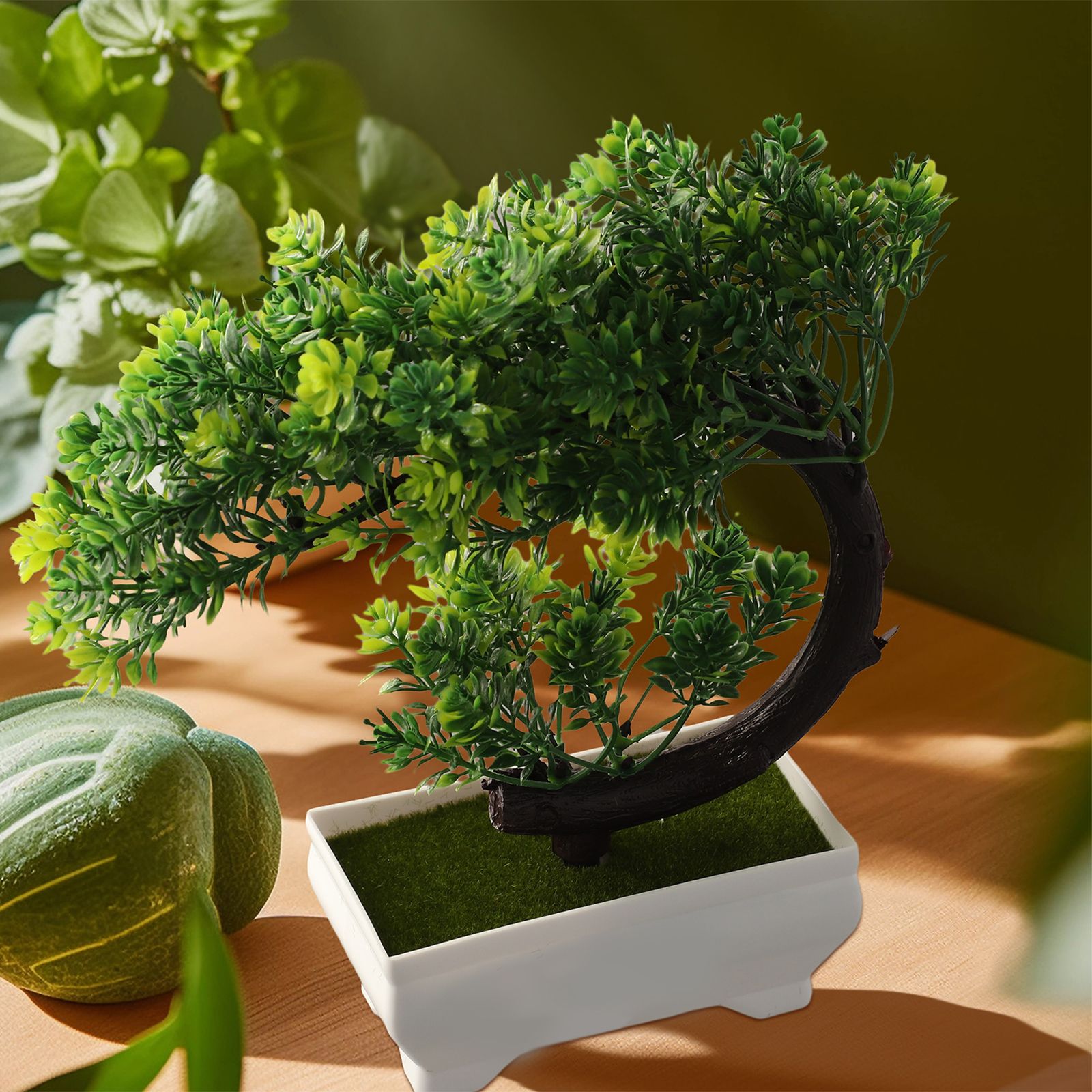 Adorno de bonsái en maceta de  - Bonsai Garden Indoor reseña y precio