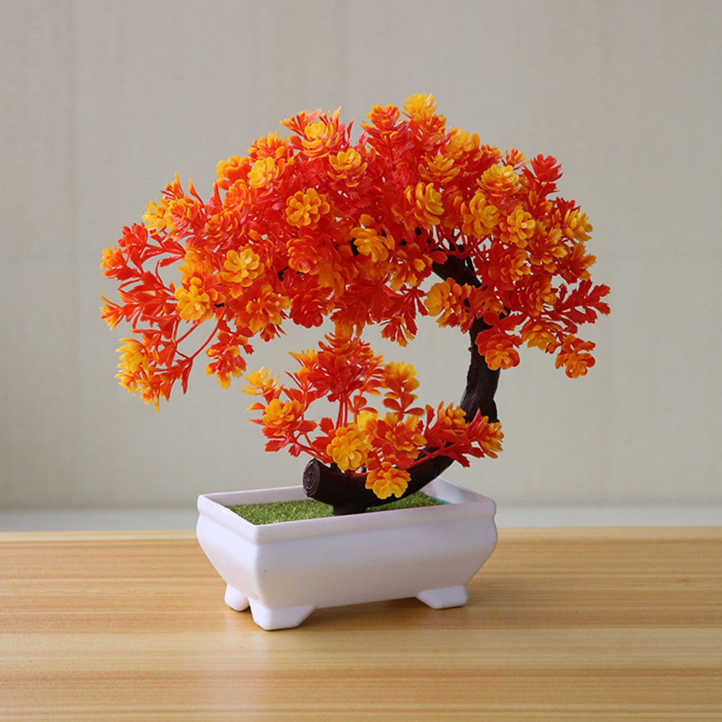 Adorno de bonsái en maceta de  - Bonsai Garden Indoor reseña y precio