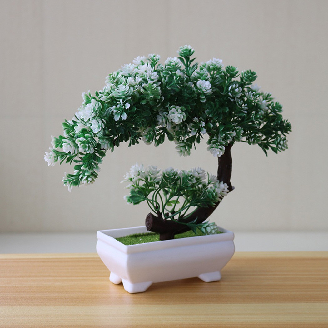 Adorno de bonsái en maceta de  - Bonsai Garden Indoor reseña y precio