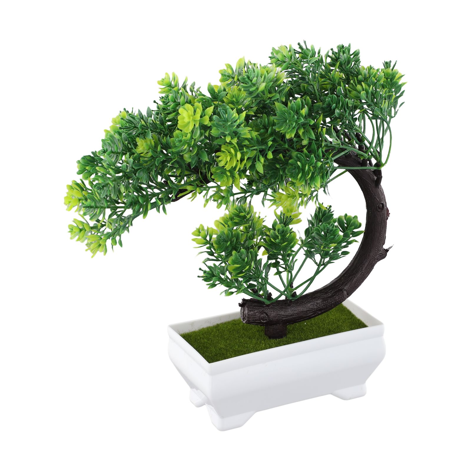 Adorno de bonsái en maceta de  - Bonsai Garden Indoor reseña y precio