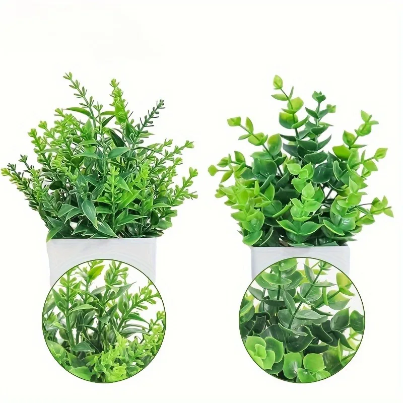 Venta al por mayor, bonsái Art - Bonsai Garden Indoor reseña y precio