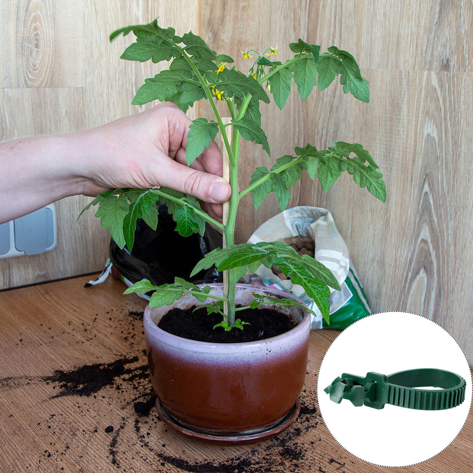 20 Piezas de Hebillas de Fijac - Bonsai Gardening reseña y precio