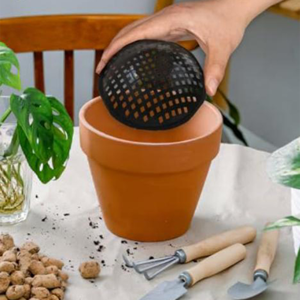 Almohadillas de malla para mac - Bonsai Gardening reseña y precio