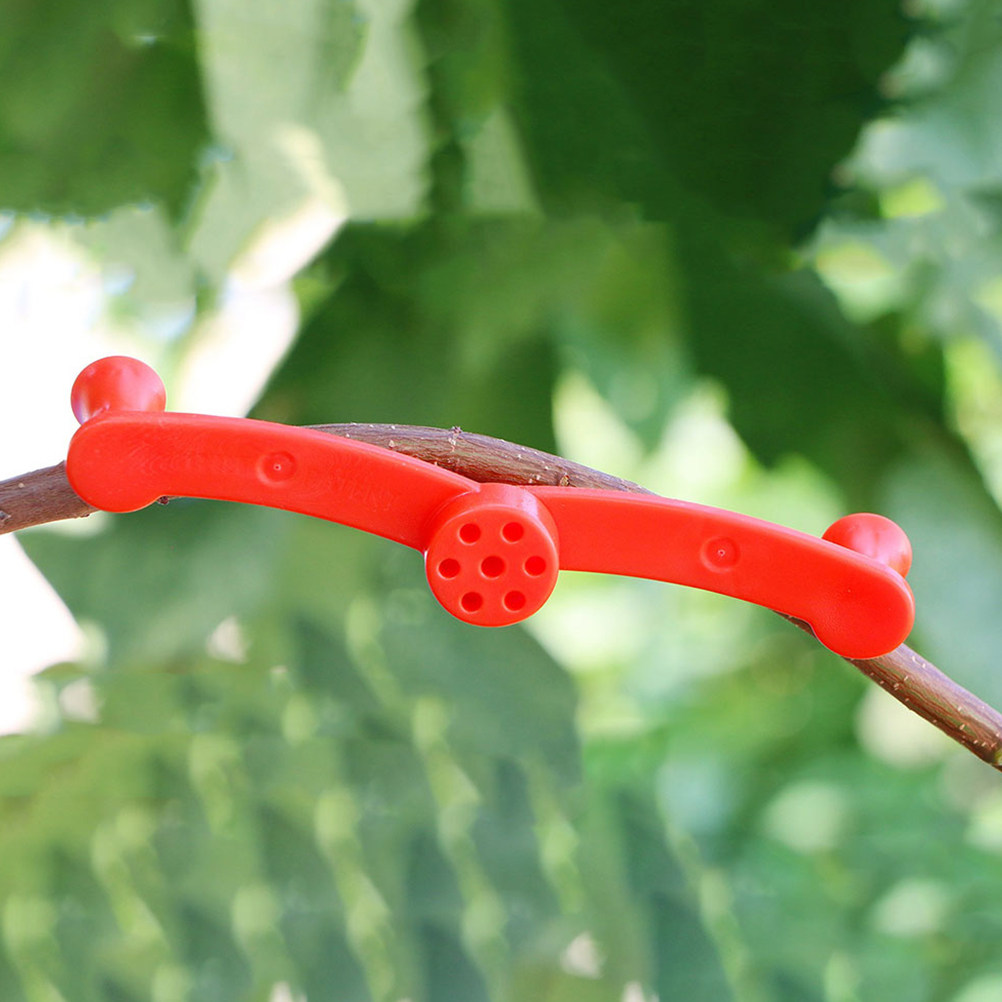 10 Piezas de Soportes Flexible - Bonsai Gardening reseña y precio