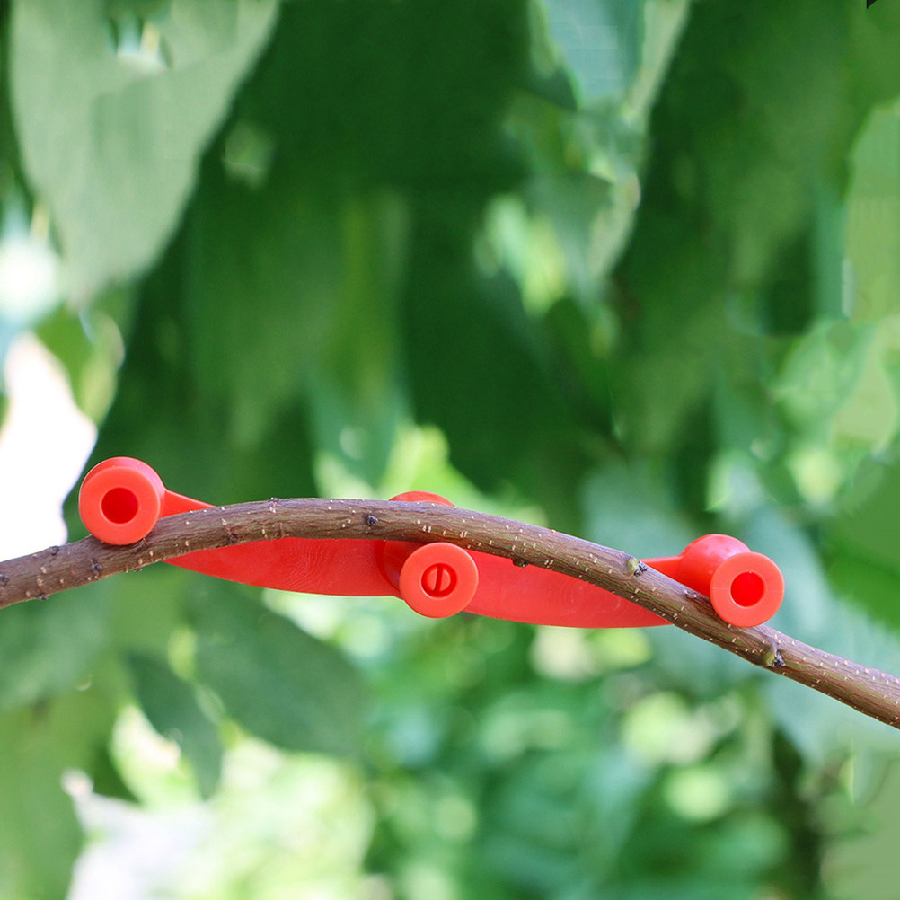 10 Piezas de Soportes Flexible - Bonsai Gardening reseña y precio