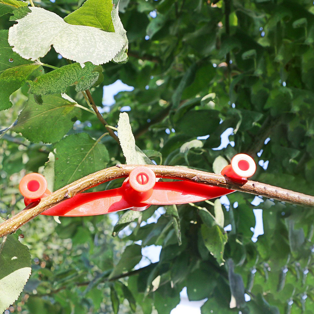 10 Piezas de Soportes Flexible - Bonsai Gardening reseña y precio