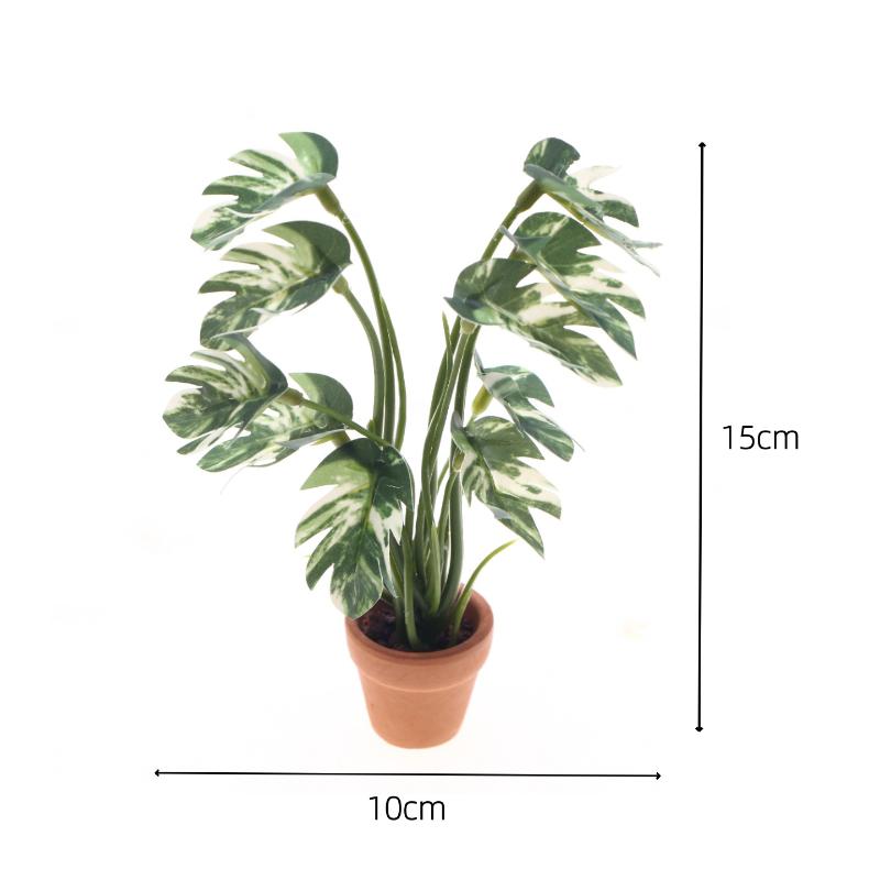 Nuevo. 1 unidad. Planta verde  - Bonsai Gardening reseña y precio