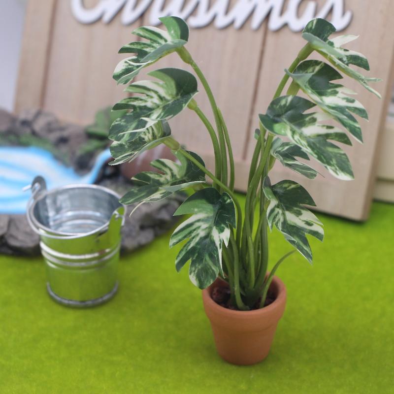 Nuevo. 1 unidad. Planta verde  - Bonsai Gardening reseña y precio